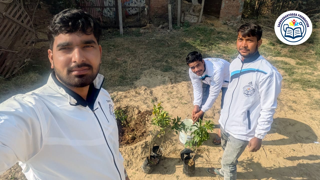 Tree Plantation